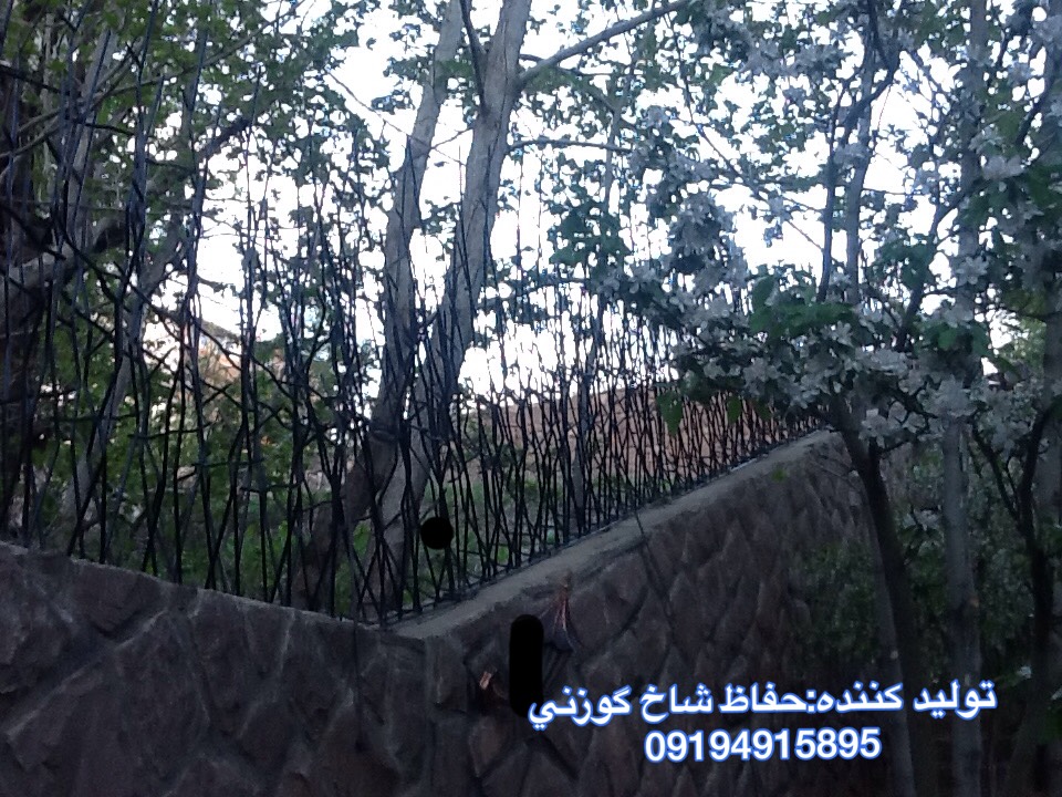 حفاظ شاخ گوزنی