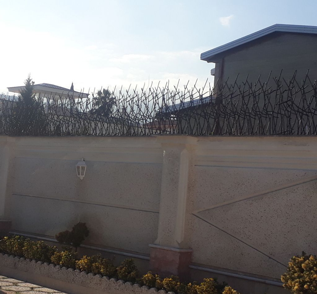 حفاظ شاخ گوزنی